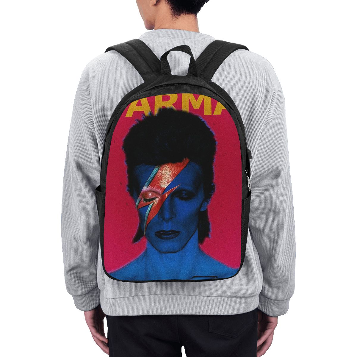 Davids Bowied Backpack Travel  - Laptops 评论和价格